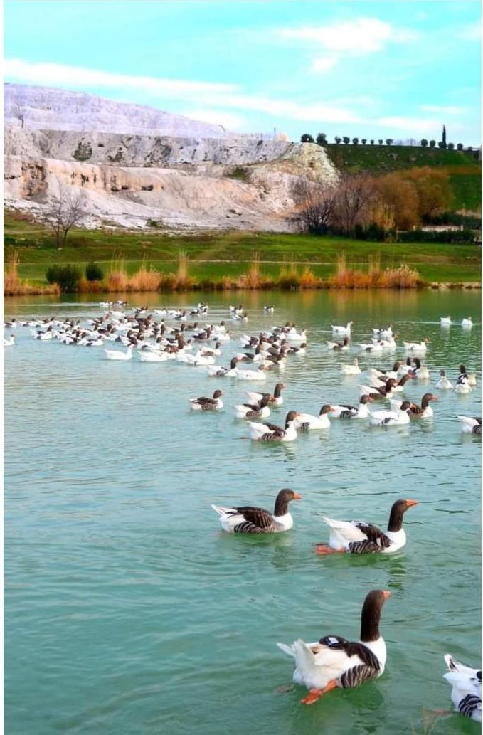 Hotel Akapella à Pamukkale Extérieur photo